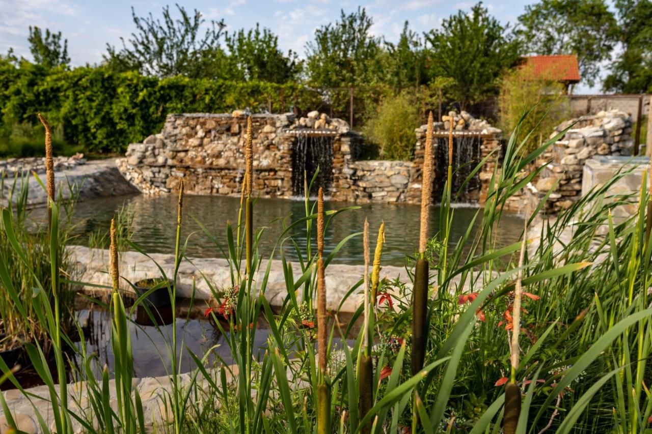 Отель Country Spa Retreat Снагов-24